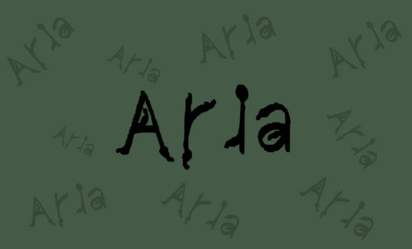 Aria: A Clean, Brushed Display Font for Digital Design