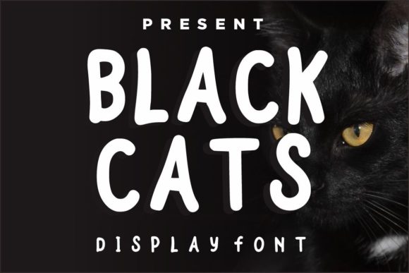 Black Cats: A Display Font with Quiet Confidence